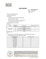 neutral salt spray test by SGS